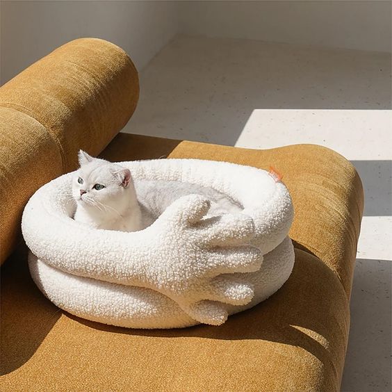 The Ultimate Guide to Creating Cozy Cat Beds and Furniture for Your Feline Friend