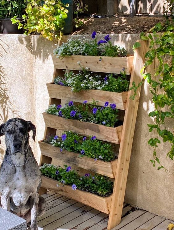 The Benefits of Tiered Plant Stands for Growing Your Own Garden